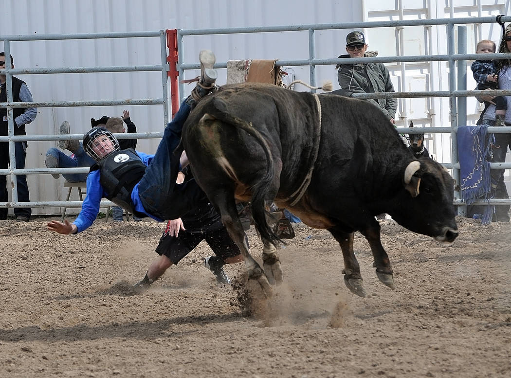 Horace Langford Jr. / Pahrump Valley Times 
High school bull rider Kyle Marty gets bucked off his bull on March 5. The Pahrump High school rodeo team is back in action and if you want to see some  ...