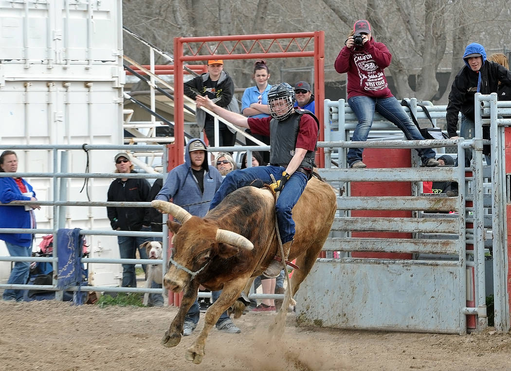 Pahrump bull rider Aidan Medici going for the eight seconds on March 5 at the rodeo arena during a practice run.Horace Langford Jr. / Pahrump Valley Times