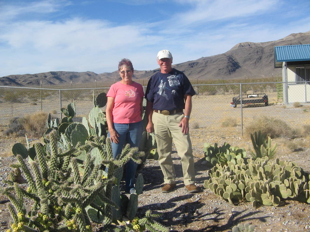 Brenda Klinger/Special to the Pahrump Valley Times

^

Dr. Holly and Dr. Gerry Henseler stand among some of their cacti numbering over 1,000 on their property and in greenhouses. Dr. Gerry Hensele ...
