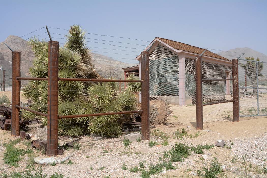 Richard Stephens/Special to the Pahrump Valley Times
A photo shows a large Joshua tree that the wind uprooted inside the grounds of the Tom Kelly Bottle House at Rhyolite. The storm was severe, le ...