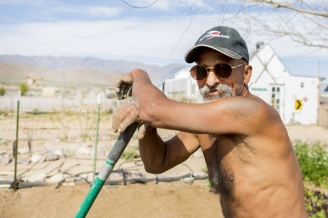 DesDesert Bloom Eco Farm laborer Raul Portal breaks from tilling the ground in Tecopa, Calif. Thursday, March 23, 2017. (Elizabeth Brumley Las Vegas Review-Journal) @EliPagePhoto
