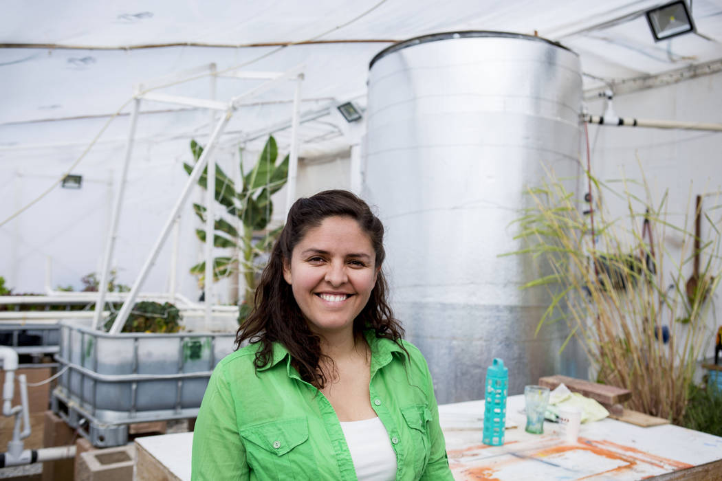 CFO of Desert Bloom Eco Farm Claudia Andracki in the farm's greenhouse in Tecopa, Calif. Thursday, March 23, 2017. (Elizabeth Brumley Las Vegas Review-Journal) @EliPagePhoto