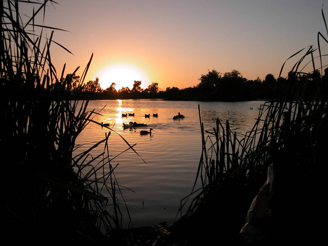 Gary Bennett/Special to the Pahrump Valley Times
The sun sets at Guajome Lake Regional Park at 3000 Guajome Lake Road in Oceanside, California. The spot is also good for camping out.