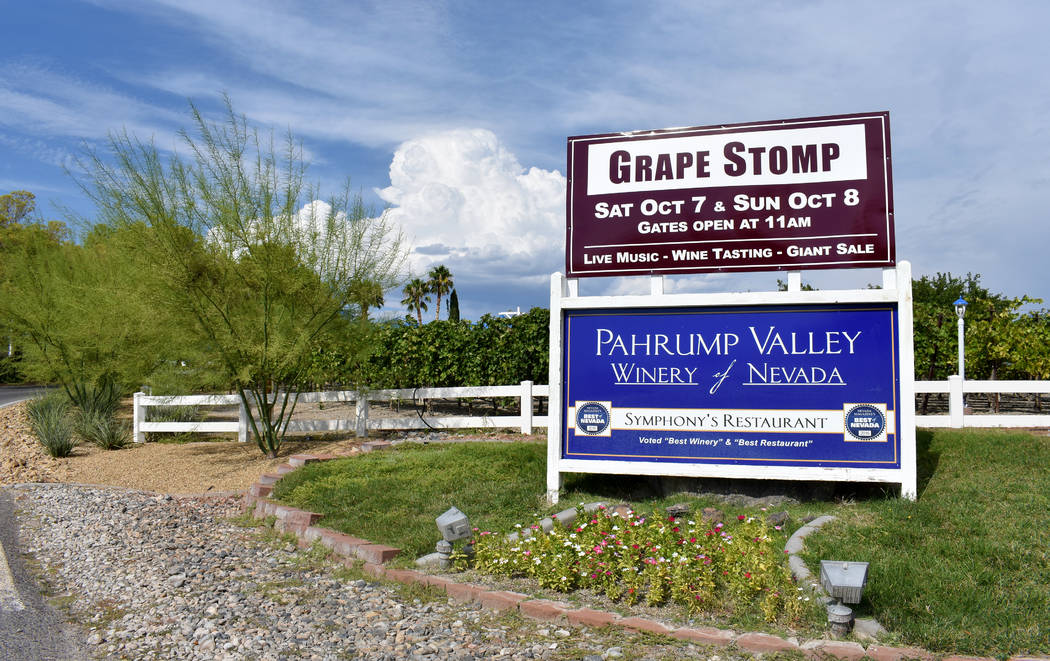 Daria Sokolova/Pahrump Valley Times
The annual Grape Stomp contest returns to Pahrump Valley Winery on Oct. 7-8. Hundreds are expected to attend the event at 3810 Winery Road, just north of Highwa ...