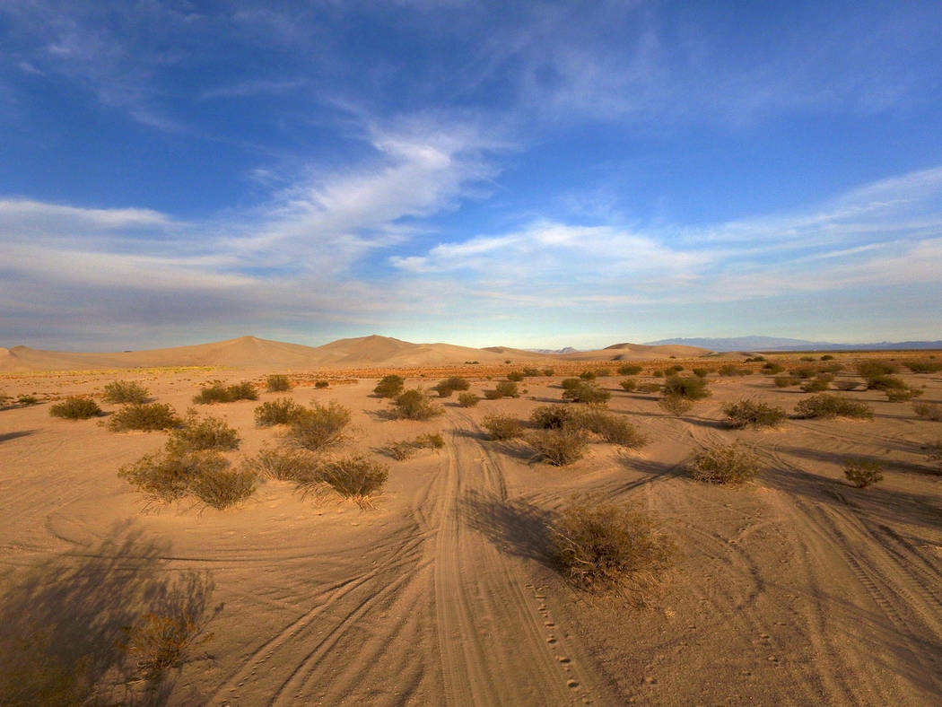 Photo by Daria Sokolova
A California man died in an apparent quad crash at Amargosa Valley’s Big Dune, Nye County officials said. The dunes, which are popular among ATV and off-roading enthusias ...