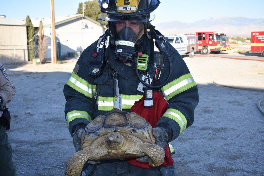 Special to the Pahrump Valley Times
Pahrump Valley Fire and Rescue Services rescued 18 exotic animals from a structure fire at 40 S. Comstock Circle East on Oct. 19, 2017. The list of exotic inclu ...