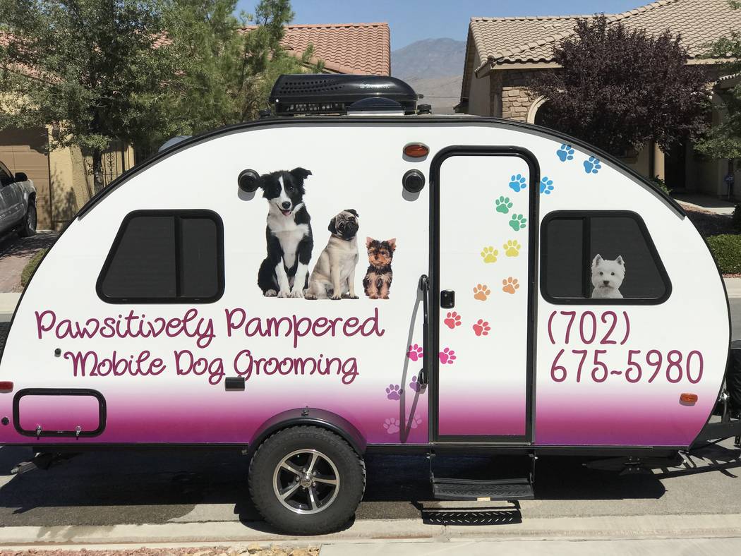 Business profile Jeanne Johansson, Pawsitively Pampered Mobile Dog