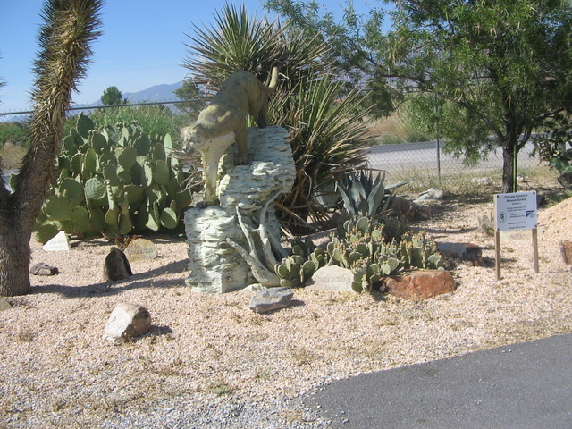 Cactus Garden - Send to Paradise, Las Vegas, NV Today!