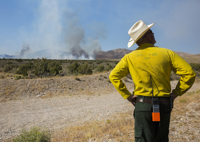 Ray Johnson, a fire prevention officer with the U.S. Forest Service, waits for a VLAT aircraft to drop retardant on a a wildfire near State Route 160 and Lovell Canyon Road. The fire shut down the ...