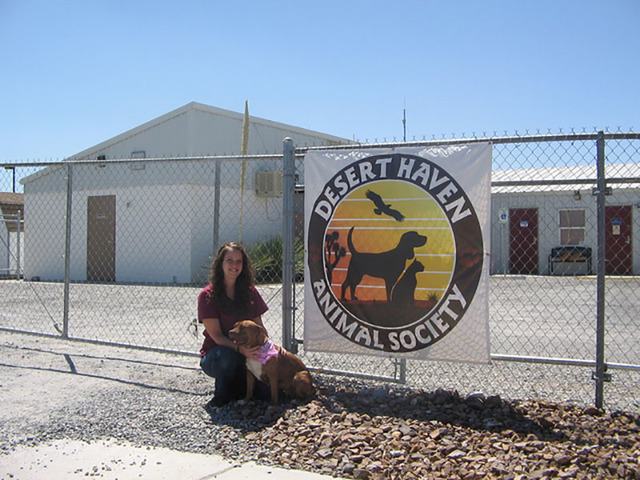 Desert Haven Animal Society has teamed with two area animal sanctuaries to start up the Senior to Senior Forever Foster program to match lonely pets with seniors. The program provides free food an ...