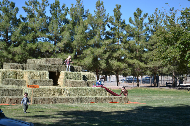 Children play on the popular hay pyramid during a previous PDOP Pumpkin Days event at Ian Deutch Memorial Park. Now in its seventh year, the program was founded to support parents of children with ...