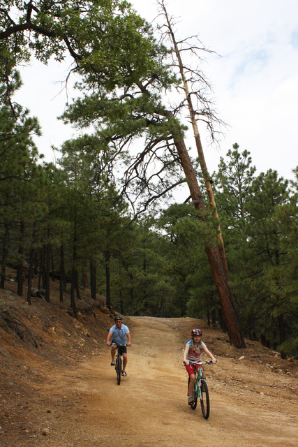 There are about ten miles of trails in Hualapai Mountain Park. The park even offers an ATV trailhead with an unloading ramp, parking and campsites. Here riders can access hundreds of miles of good ...