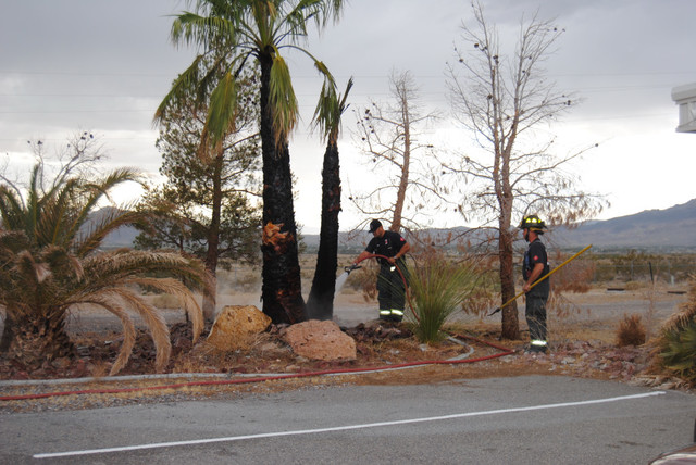 Lightning Strike Sets Palm Trees On Fire Pahrump Valley Times 