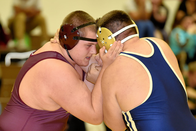 Sophomore Zach Trieb (285 pounds) is still learning with every match he wrestles. Trojans coach Craig Rieger believes he just needs some more time to develop and said Trieb has great potential and ...