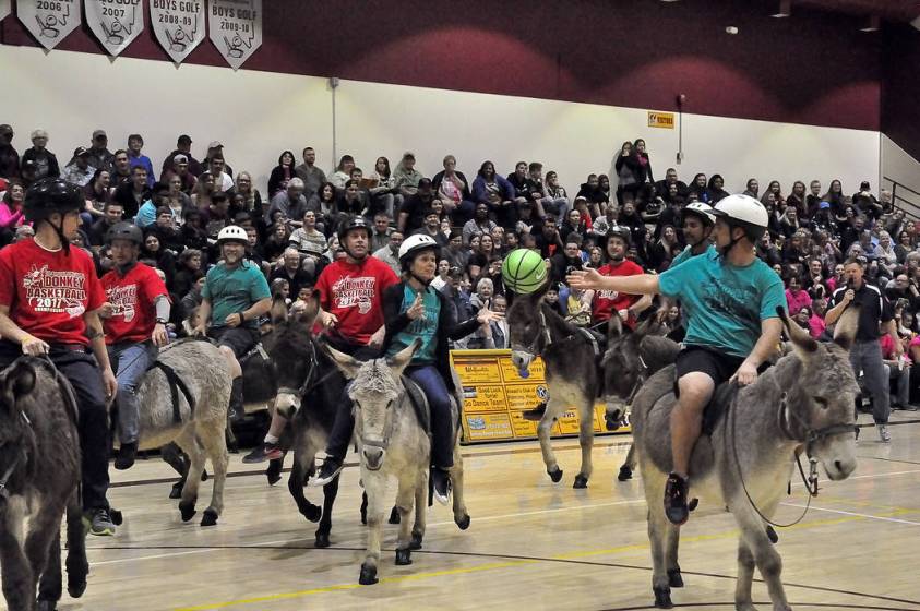 Donkey basketball continues to be a big crowd pleaser Pahrump Valley