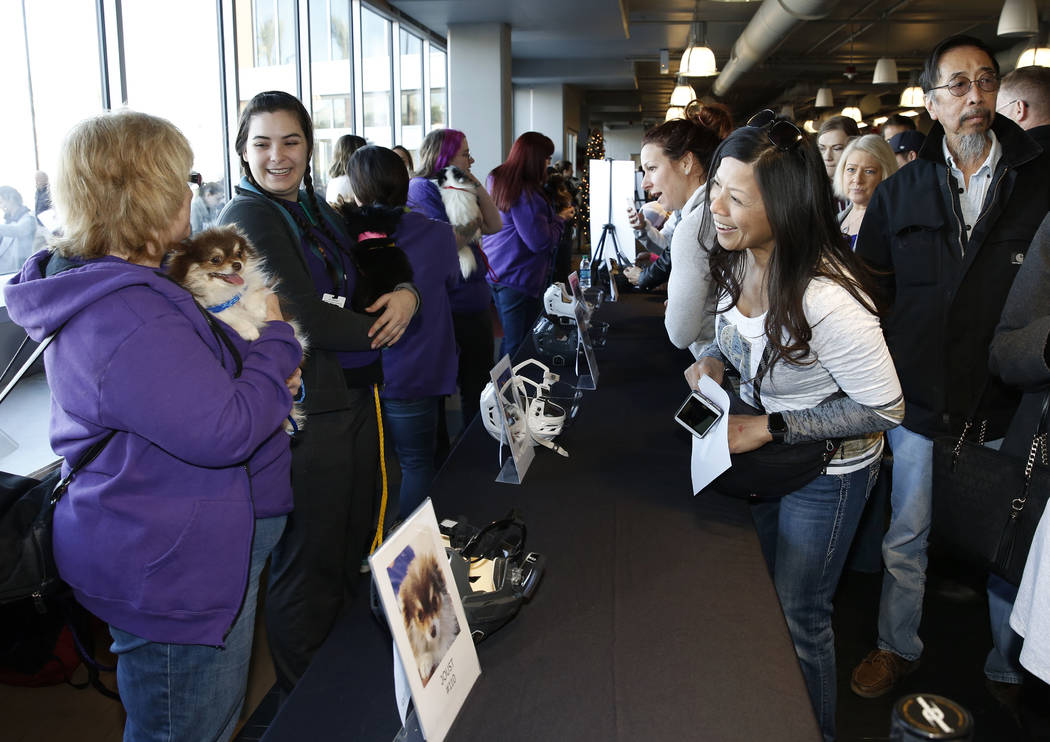 People, including Haydee Ratner, right, watch Pomeranian dogs at City National Arena Monday, Dec. 18, 2017, in Las Vegas. The Vegas Golden Knights and the Animal Foundation held a Pucks for Paws c ...