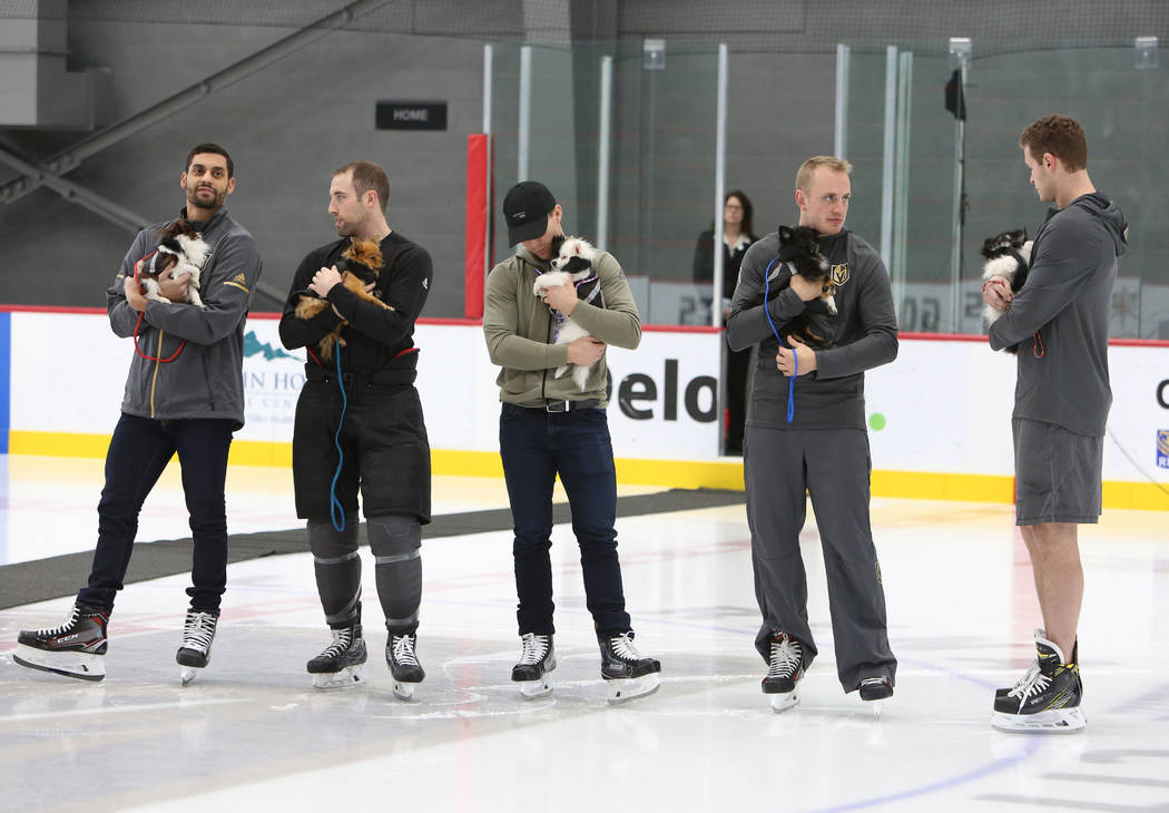 The Vegas Golden Knights Pierre-Edouard Bellemare, left, Brad Hunt, Jonathan Marchessault, Nate Schmidt, Brayden McNabb, right, hold Pomeranian dogs during the auction at City National Arena Monda ...