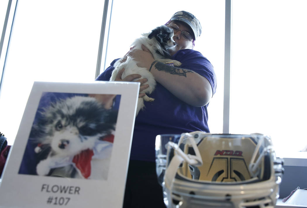 Heather Cleveland holds Flower at City National Arena Monday, Dec. 18, 2017, in Las Vegas. The Vegas Golden Knights and the Animal Foundation held a Pucks for Paws community event to kick off the  ...