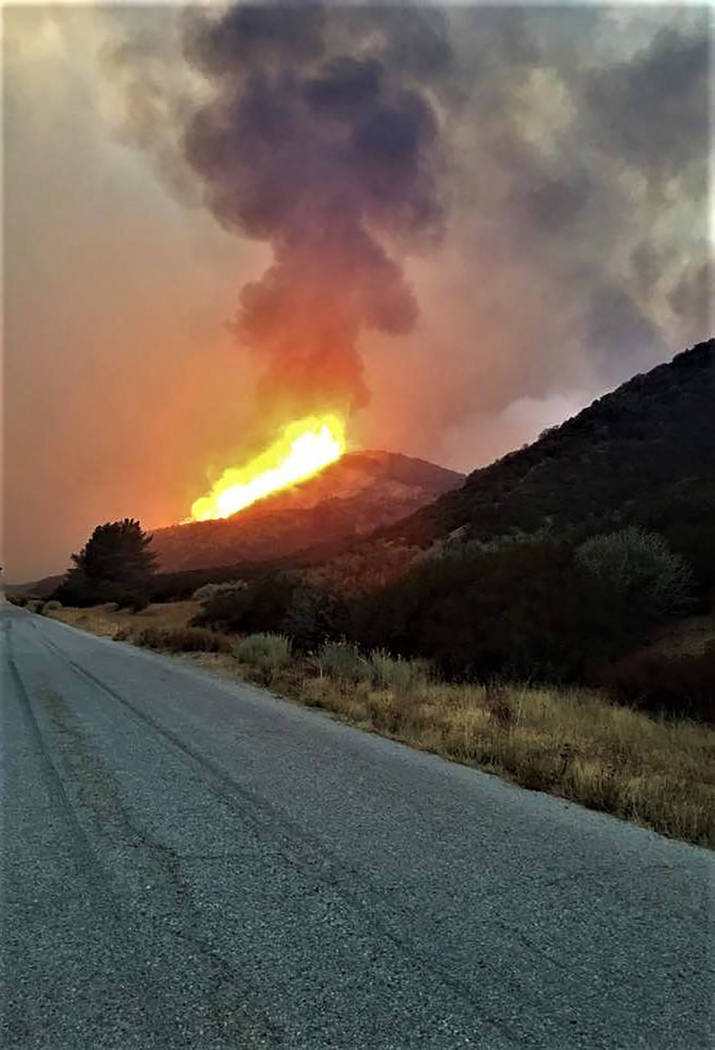 Nevada Divison of Forestry
This photo, courtesy of the Nevada Divison of Forestry earlier this month shows flames from the Thomas fire shooting up. Six crews were sent from several prisons and the ...