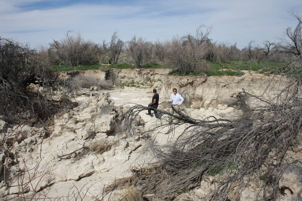 Victor Fuentes stands in the middle of the swath of land that had been carved away by repeated floods in this 2016 file photo, courtesy of Nevada Policy Research Institute. The Fuenteses are deman ...