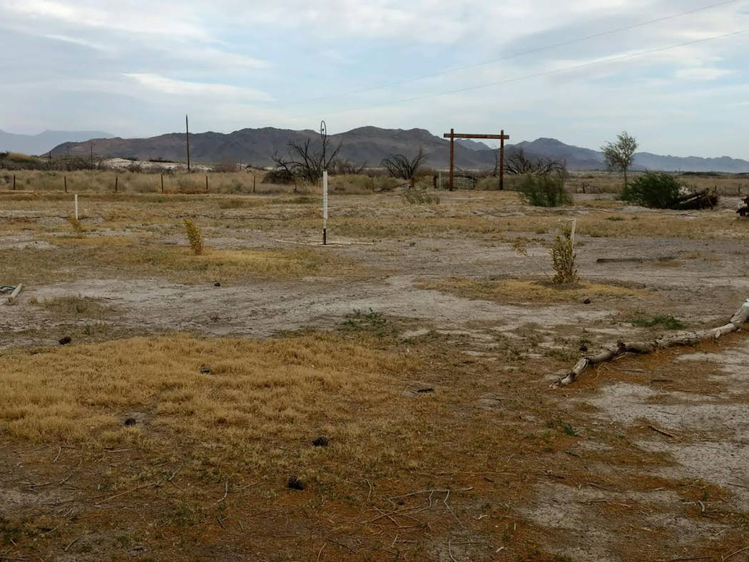Special to the Pahrump Valley Times Annette Fuentes snapped this photo of her property, which shows dry, barren land, on April 11. The land was once much more lush but lack of water has devastated ...