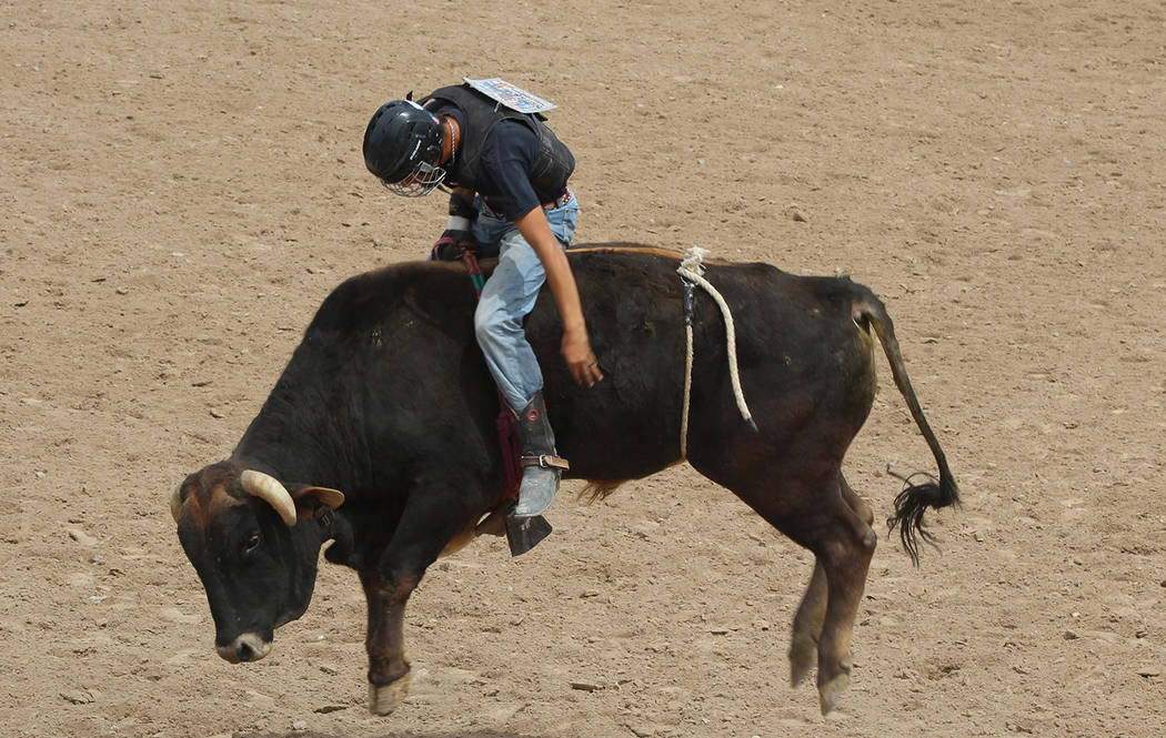 Tom Rysinski/Pahrump Valley Times Pahrump Valley junior Tye Hardy is ranked second in the state in bull riding and fourth in saddle bronc riding heading into this weekend's Nevada State High Schoo ...