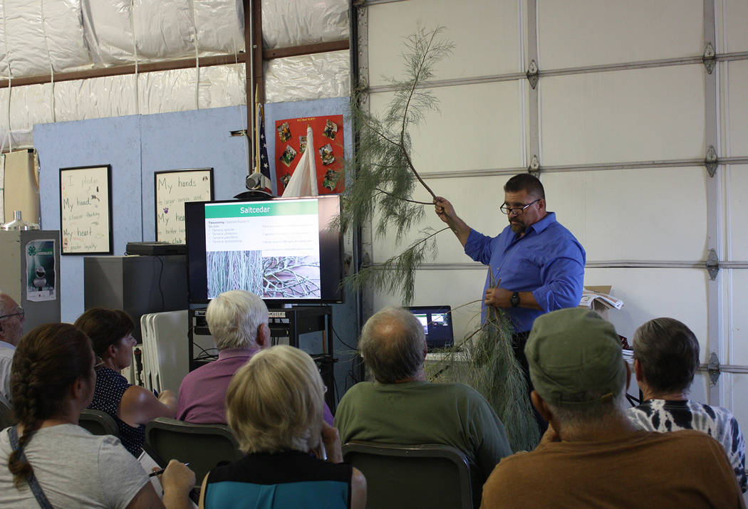 Robin Hebrock/Pahrump Valley Times Nevada Department of Agriculture Noxious Weeds Coordinator Sean Gephart shows saltcedar workshop attendees the difference between the types of saltcedar commonly ...