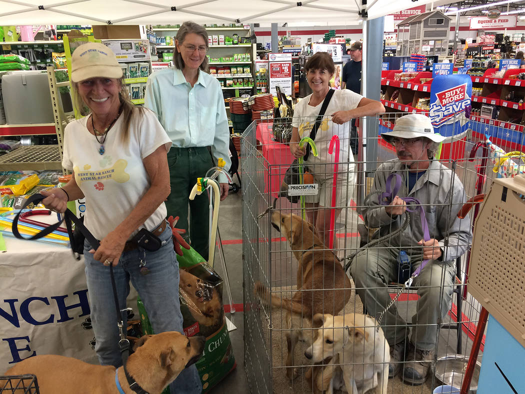 Robin Hebrock/Pahrump Valley Times West Star Animal Rescue staff and volunteers posed for a quick photograph with three of the canines available for adoption during the Tractor Supply Out Here Wit ...