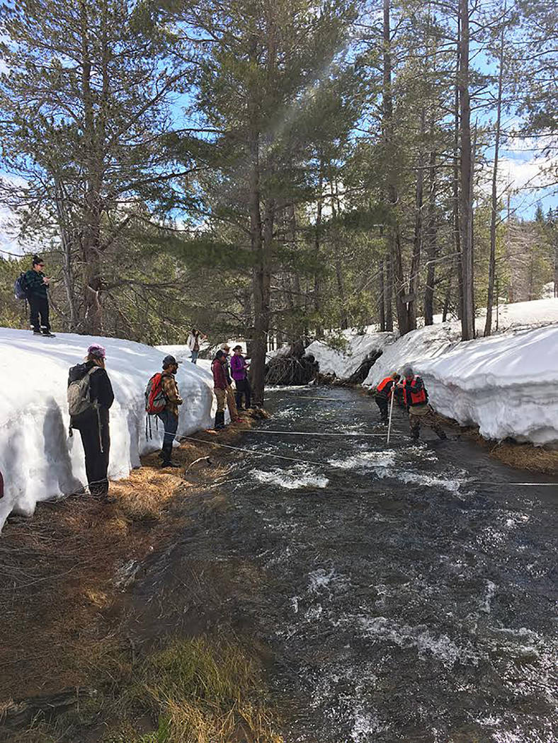 University of Nevada Reno/Special to the Pahrump Valley Times - Assistant Professor Adrian Harpold's Small Watershed Hydrology class from the University of Nevada, Reno measures stream discharge d ...