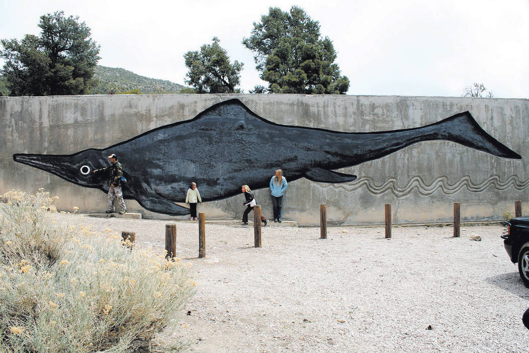 Las Vegas Review-Journal file This wall, located in the fossil shelter parking area of Berlin-Ichthyosaur State Park, shows visitors what an Ichthyosaur might have looked like.