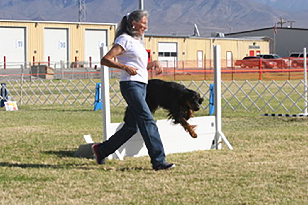Special to the Pahrump Valley Times Pahrump resident Janet Howson, goes through the paces with her Gordon Setter in the rally exercise portion of the three-day event.