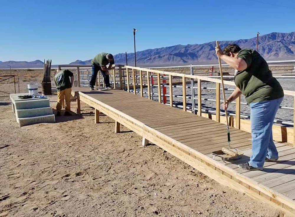 Special to the Pahrump Valley Times A wheelchair ramp that allows disabled persons to access the horses at Freedom Reins gets a new coat of non-skid paint.