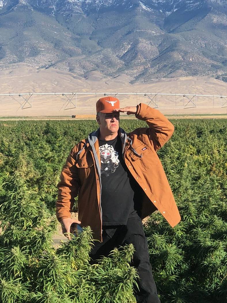 Special to the Pahrump Valley Times Michael Whalen, founder and president of the Nevada Hemp Association, stands in a hemp field in the Tonopah area. The hemp industry could see a boost through th ...