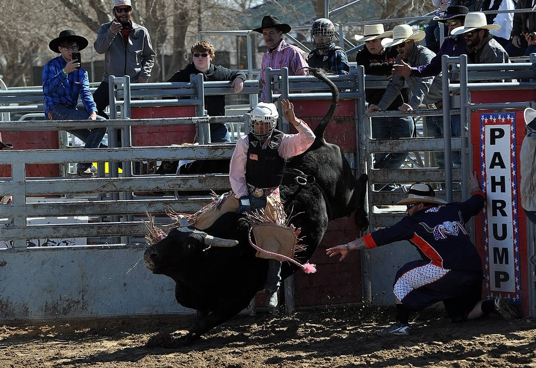 Horace Langford Jr./Pahrump Valley Times Pahrump Valley senior Tye Hardy had a rough time Sunday but a strong run Saturday and remains the only high school bull rider to score any points this year.
