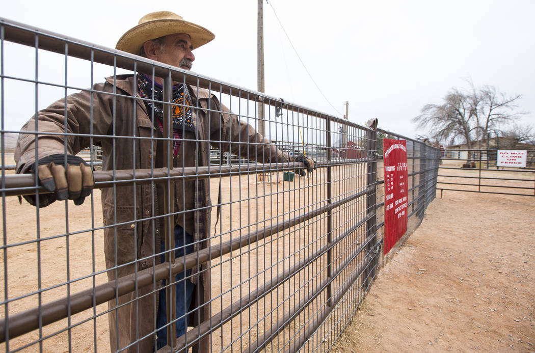 Ranch hand Steve Myers, who works at the Red Rock Riding Stables, looks out at Bonnie Springs Ranch outside of Las Vegas on Saturday, Jan. 12, 2019. (Chase Stevens/Las Vegas Review-Journal) @csste ...