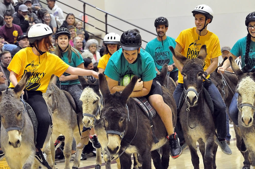 Horace Langford Jr./Pahrump Valley Times Pahrump Valley High School seniors battle faculty and staff of Rosemary Clarke Middle School in the annual Donkey Basketball game Friday night at Pahrump V ...
