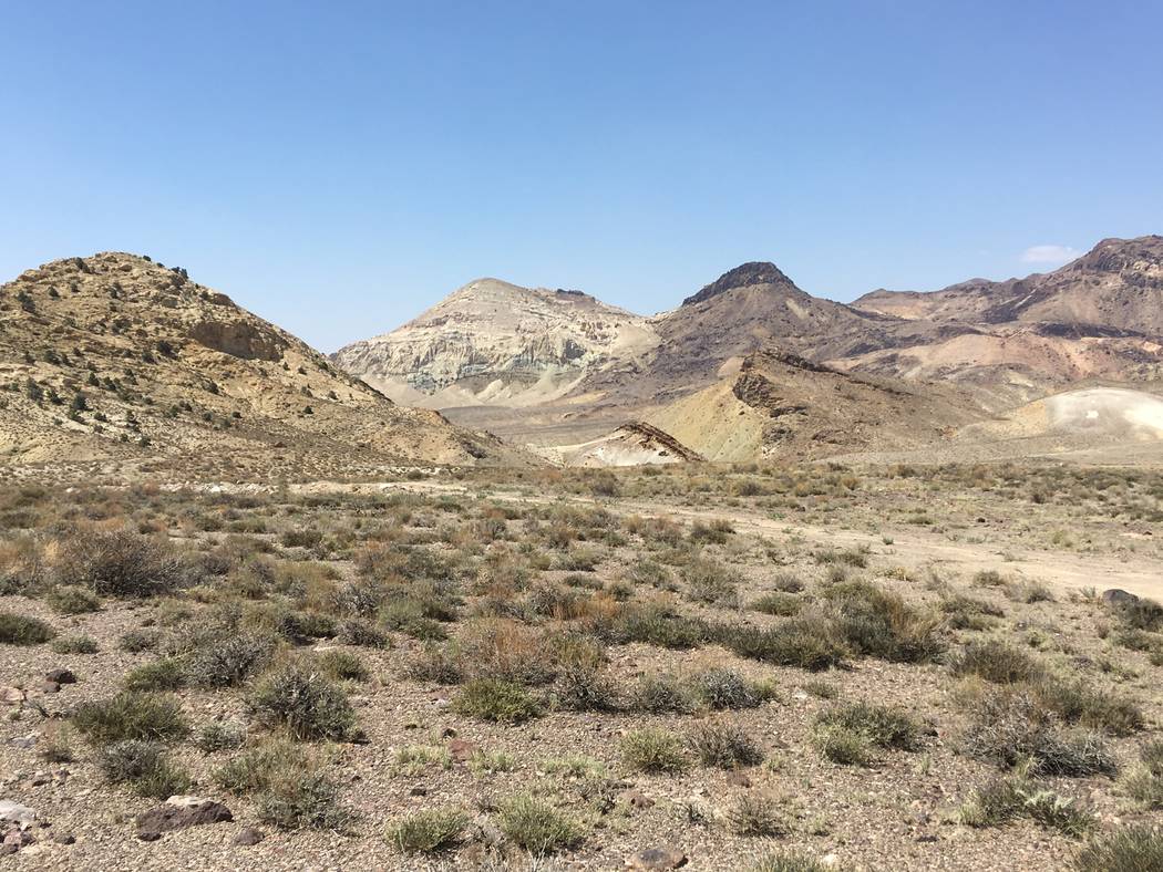 Special to the Pahrump Valley Times Rhyolite Ridge already has over 60 existing drill holes, according to data. The deposit is estimated to contain the equivalent of 4.1 million metric tons of lit ...