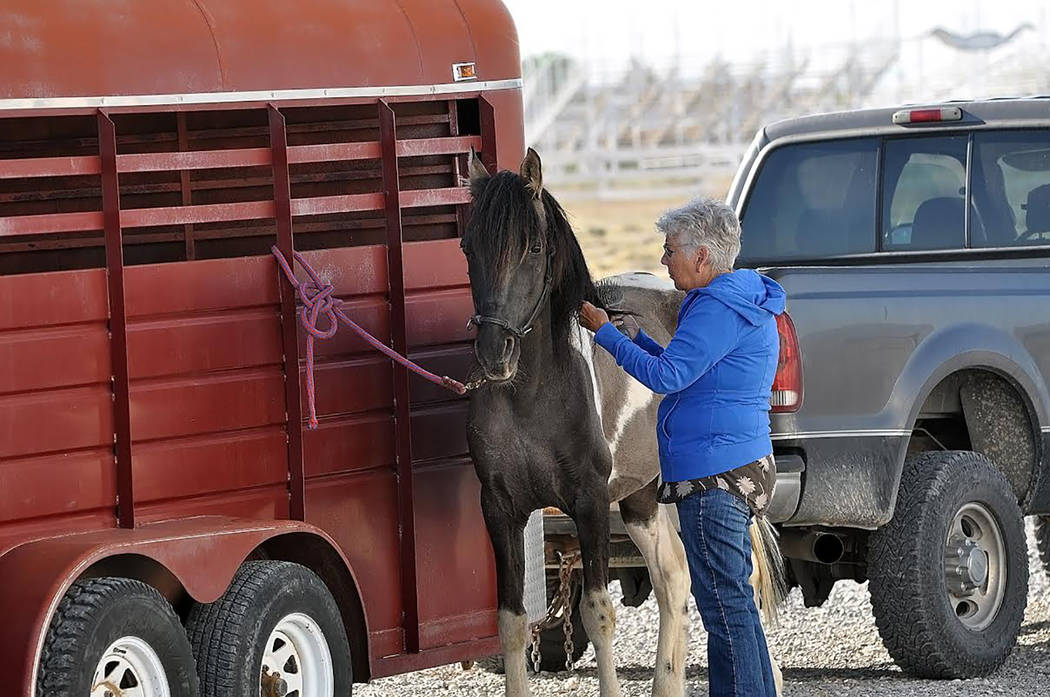 Horace Langford Jr./Pahrump Valley Times - Recreational riders now have a safe location in whic ...