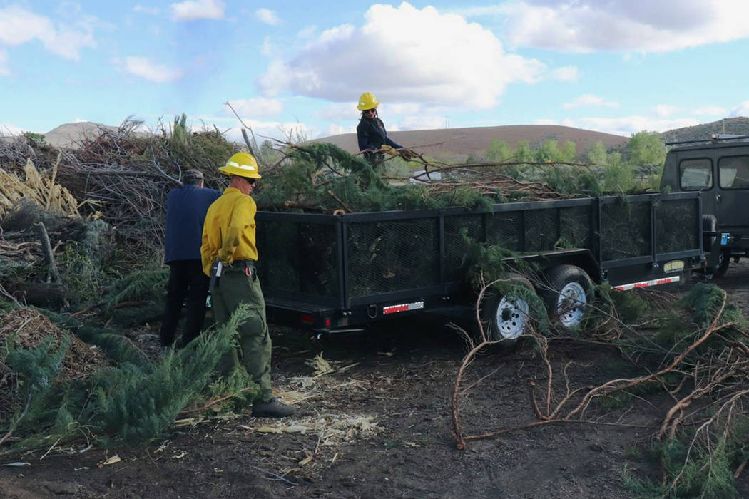Nevada Department of Forestry Homeowners haul woody vegetation at a 2018 Junk the Junipers even ...
