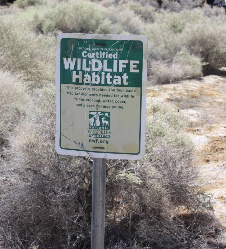Robin Hebrock/Pahrump Valley Times A certified wildlife habitat sign has sat in front of Brian ...