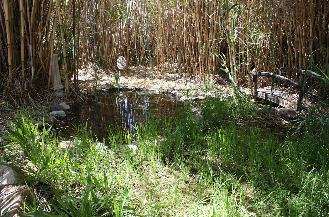 Robin Hebrock/Pahrump Valley Times Pictured is the pond that spurred the creation of the artifi ...