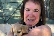 Tom Rysinski/Pahrump Valley Times Never Forgotten Animal Society Executive Director Pat Leming ...
