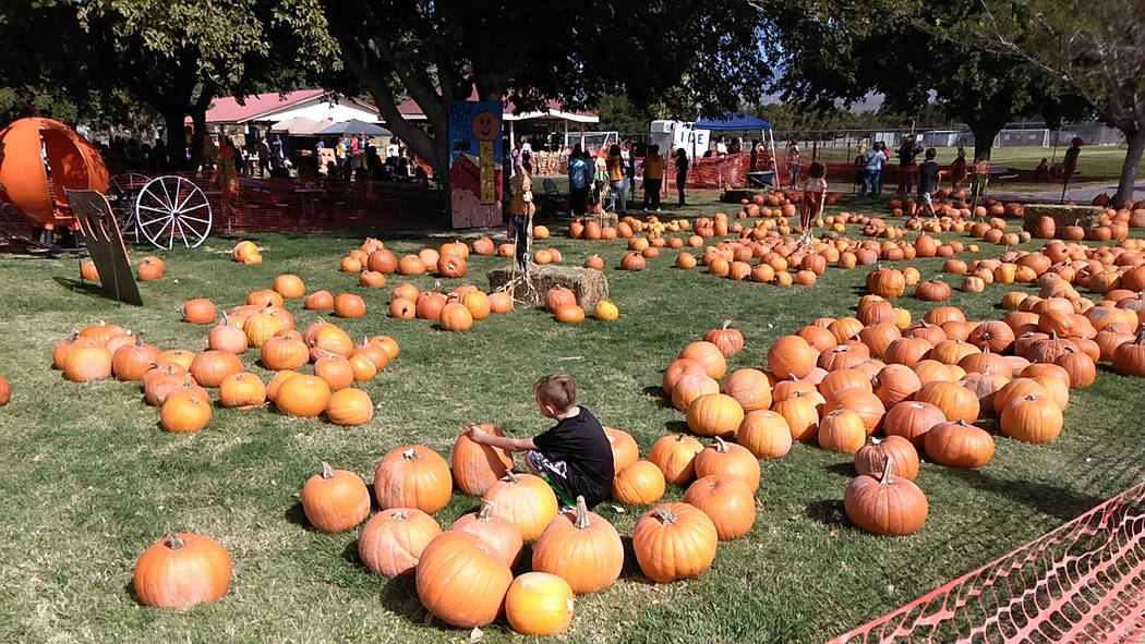 Selwyn Harris/Pahrump Valley Times The pumpkin patch is always a big draw for those attending t ...