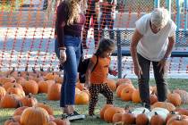 Horace Langford Jr./Pahrump Valley Times A young attendee at the 10th Annual Pumpkin Days and ...