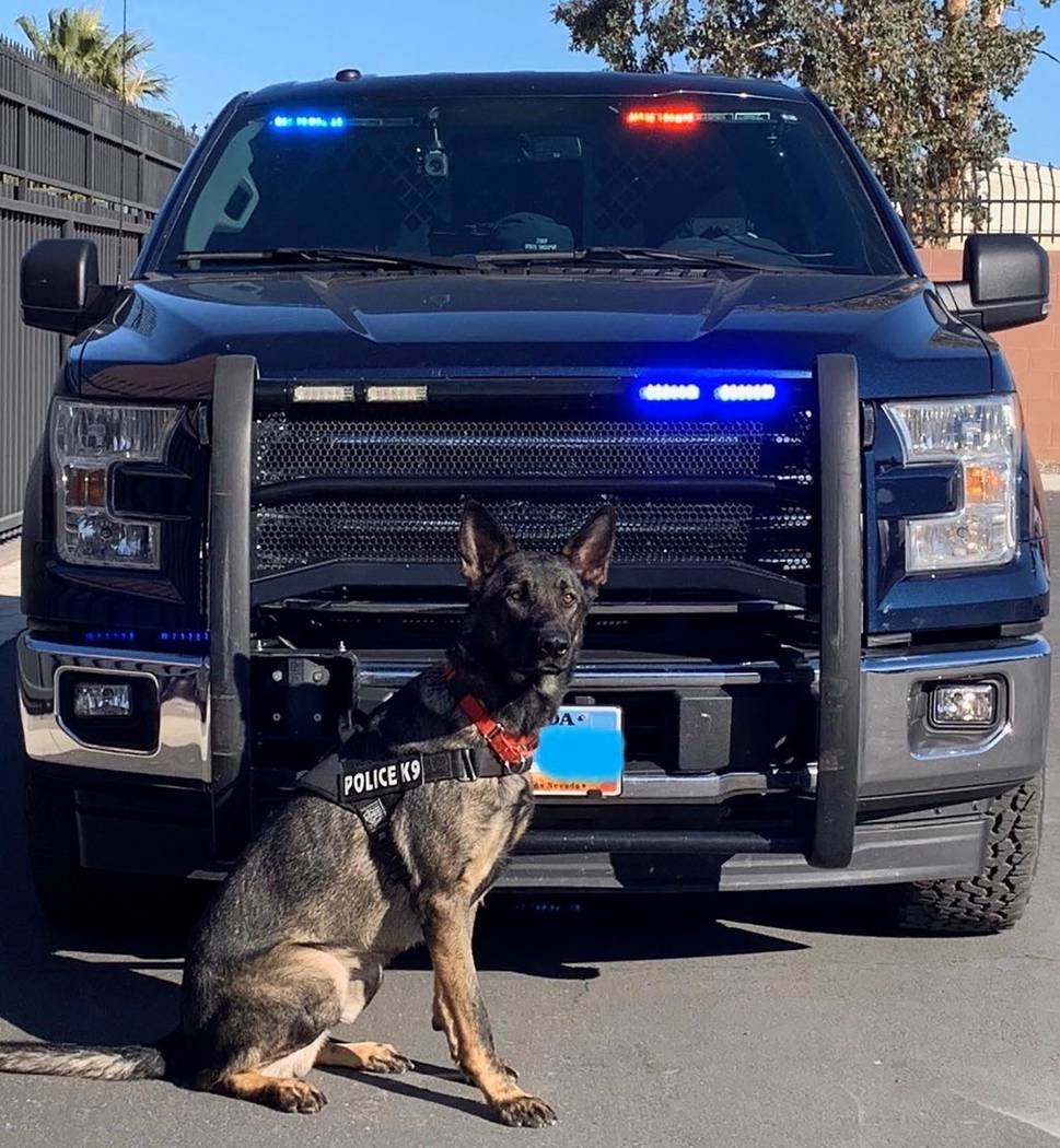 Nevada Department of Public Safety Lobo and his handler’s duty station will be in Southern Ne ...