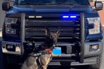 Nevada Department of Public Safety Lobo and his handler’s duty station will be in Southern Ne ...