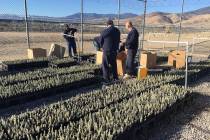Nevada Department of Corrections The "Sagebrush in Prisons Project" is a nationally recognized ...