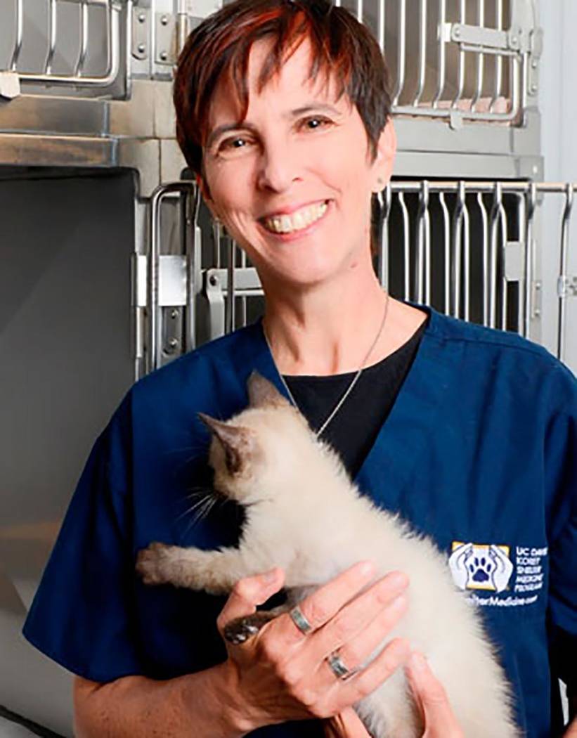 Special to the Pahrump Valley Times Dr. Kate Hurley will discuss feline welfare, protection of ...