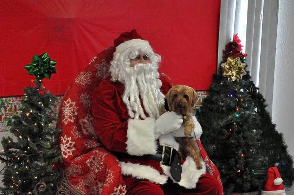 Horace Langford Jr./Pahrump Valley Times Pahrump Valley Obedience Club Dog Photos with Santa Sa ...