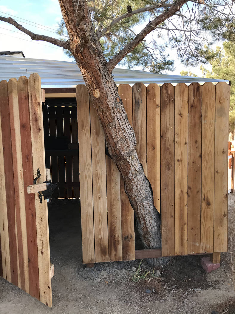 Robin Hebrock/Pahrump Valley Times A shed that has been added to the Floyd Elementary School Ga ...